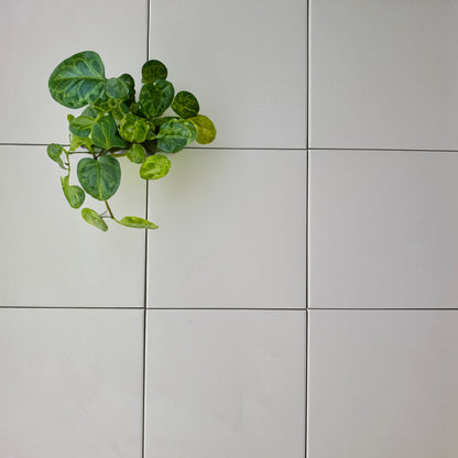 Dorchester White Floor Tile