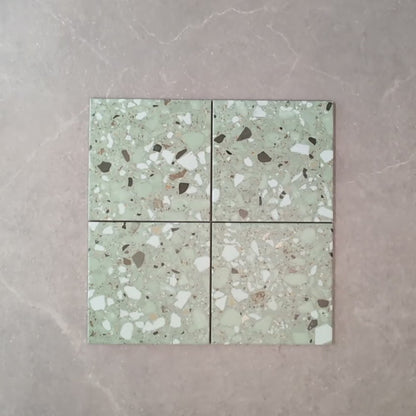 Dapper Green Terrazzo Effect Wall and Floor Tile